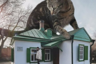 Gatos gigantes: Artista cria imagens realistas (42 fotos)