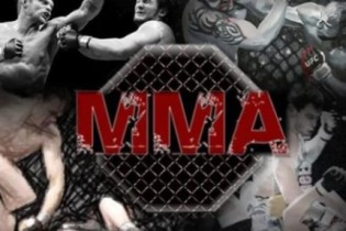 A história do MMA: Das origens à evolução moderna