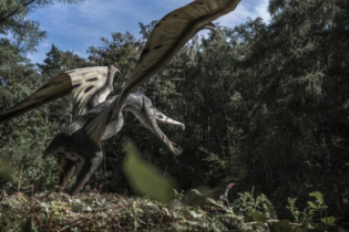 Como os pterossauros conseguiam voar?